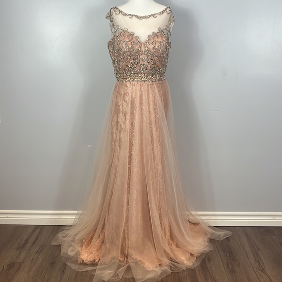 Tony Bowls Evenings Long Beaded Lace and Tulle Dress Gown - Picture 5 of 17